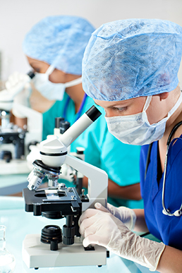 Oral Cancer Research